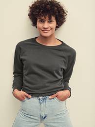 Gray sweatshirt classic light