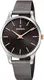 FESTINA Uhr ''''F20506/3'''' anthrazit