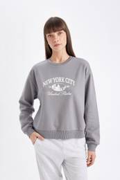 Regular Fit Crew Neck Printed Thin Sweatshirt
