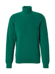 Kosta Williams x About You Pullover grün