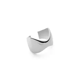 Woman's Earrings 8693_89292