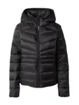 Vestes d'hiver