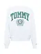 Tommy Jeans Sweatshirt nachtblau / graumeliert / tanne / rot / weiß