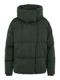 Object Vestes d'Hiver pour Femme image