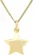 VIVANCE Kettenanhnger ''''Stern'''' gold