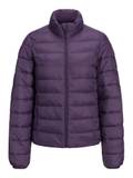 jjxx Winterjacken für Damen image