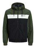 Nouvelle collection Vestes Coupe-vent pour Femmes image