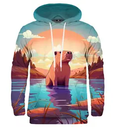 Unisex's Hoodie H-K2664