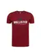 HOLLISTER T-Shirt navy / rot / weiß