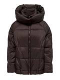Marron foncé Vestes d'Hiver pour Femme image