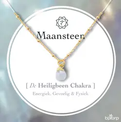 Bixorp Gems Ruwe Maansteen Heiligbeen Chakra Ketting - 18 Karaat Verguld Goud & Roestvrij Staal - 36cm + 8cm verstelbaar