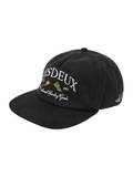 Skater Caps image