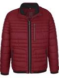 Vestes d'Hiver À Motif image