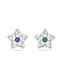 Swarovski Ohrringe navy / silber