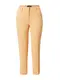 Dorothy Perkins Hose 'Grazer' apricot