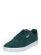 PUMA Sneaker 'Shuffle' grasgrn