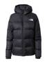 Nouvelle collection The North Face Vestes pour Femmes image