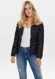 Schwarz Only Steppjacken für Damen image