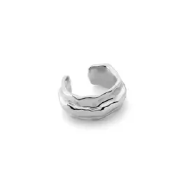 Women's earrings