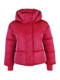 GAP Vestes d'Hiver pour Femme image