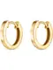 FAVS. Creole gold