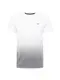 HOLLISTER T-Shirt grau / weiß