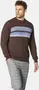 Winterpullover Wolle image
