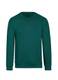 Trigema Damen 574501 Sweatshirt, Grün (Efeu 072), Medium