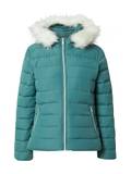 Hollister Winterjacken image