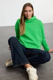 Green Regular/Normal Fit Basic Hooded Thick Inside Fleece Knitted Sweatshirt