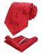 JEMYGINS Graziös Paisley Elegant Herren Krawatte und Einstecktuch mit krawattenklammer Sets (Rot2)