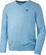 U.S. POLO ASSN. Herren Baumwoll-Pullover in Hellblau, aus 100% Baumwolle, V-Schnitt, mit lässigem Kastenschnitt, Herren Sweatshirt für Sommer & Winter, Gr. M - XXXL