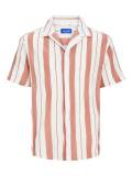 Popeline T-Shirts image