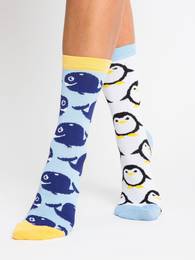Socks-WS-SR-5542.08X-Multicolor