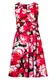 JOE BROWNS Elegantes Kleid mischfarben / pink