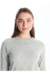 Crew Neck Self-Patterned Long Sleeve Women's Knitwear Sweater - W40466z8