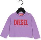 Paarse Crop Tops image