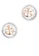 Astra Ohrhnger ANCHOR rosegold / silber