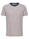 SELECTED HOMME T-Shirt grau / mischfarben