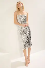 Silver Fitted Lined Sequin Knit Midi Chic Dress