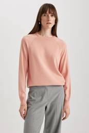 Regular Fit Crew Neck Sweater