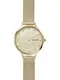 SKAGEN Uhr ''''Anita, SKW2774'''' gold
