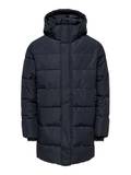 Only & Sons Vestes d'Hiver pour Femme image