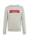 HUGO Sweatshirt ''''Dicago'''' hellgrau
