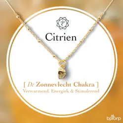 Bixorp Gems Ruwe Citrien Zonnevlecht Chakra Ketting - 18 Karaat Verguld Goud & Roestvrij Staal - 36cm + 8cm verstelbaar