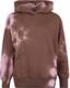 Champion Hooded Sweatshirt Kapuzenpullover multicolor