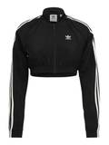 Nouvelle collection Vestes Courtes pour Femmes image
