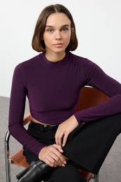 Plum High Collar Backless Fitted Crop Stretchy Knitted Blouse