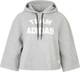 ADIDAS PERFORMANCE Hoodie ''''VRCT'''' grau / weiß