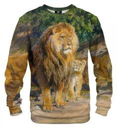 Unisex's Sweater S-PC1580